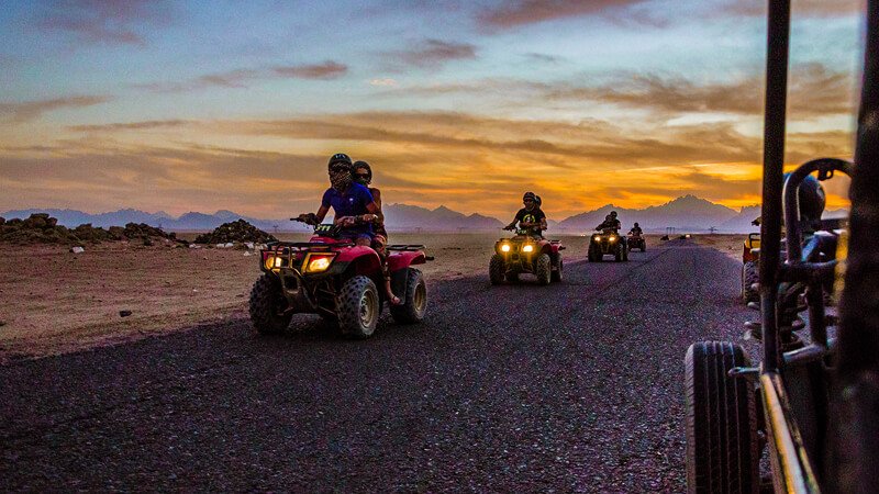 Safari Tours on the Desert