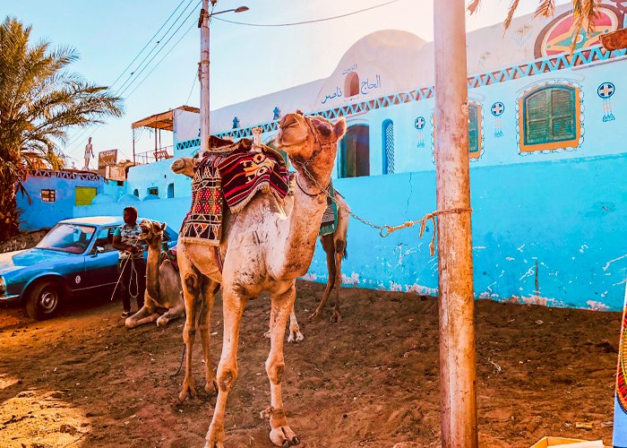 Cairo and 3 Nights Nile Cruise Aswan to Luxor