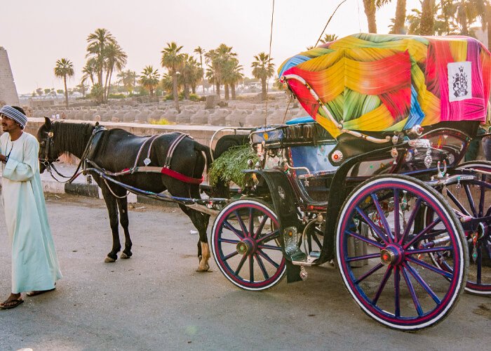 Cairo and 4 Nights Nile Cruise Luxor to Aswan