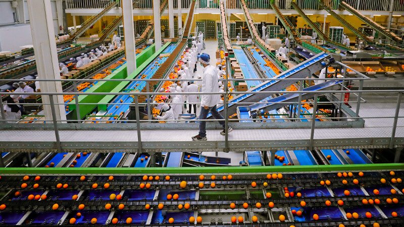 Information About Egypt