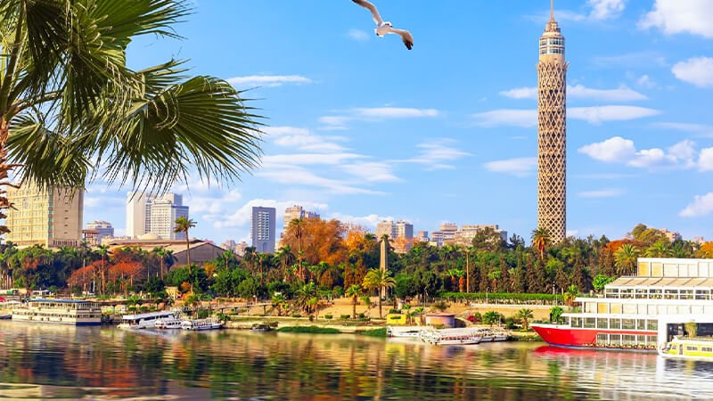 Summer Vacation in Egypt