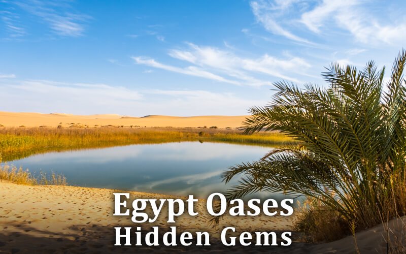 oases in egypt, egypt oases, egypt western desert oases, Top oases to visit in Egypt, Exploring Egypt's oases, Hidden gems in Egypt's oases, Oasis adventure tours Egypt, Hidden gems in Egyptian oases, Best oases in Egypt, Explore Egypt's desert oases, Things to do in Egyptian oases, Must-visit oases in Egypt,Egypt Oases Hidden gems